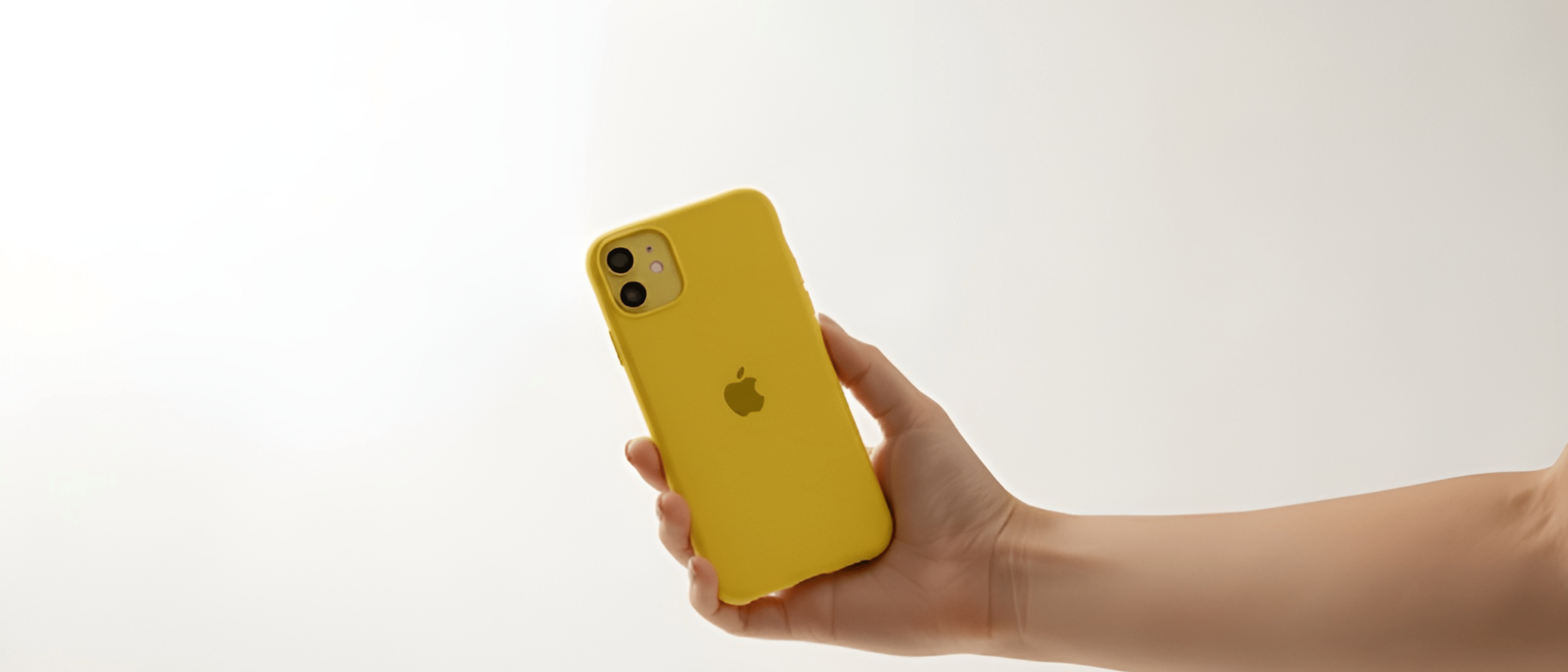 LCDLC>Apple>Funda iPhone 11