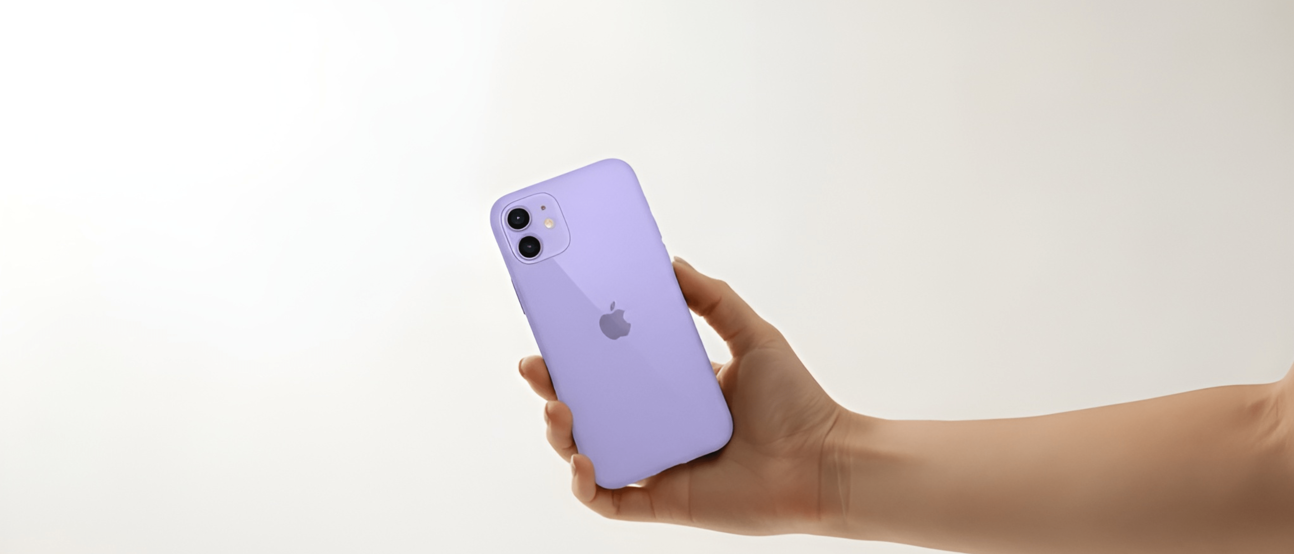 LCDLC>Apple>Funda iPhone 12