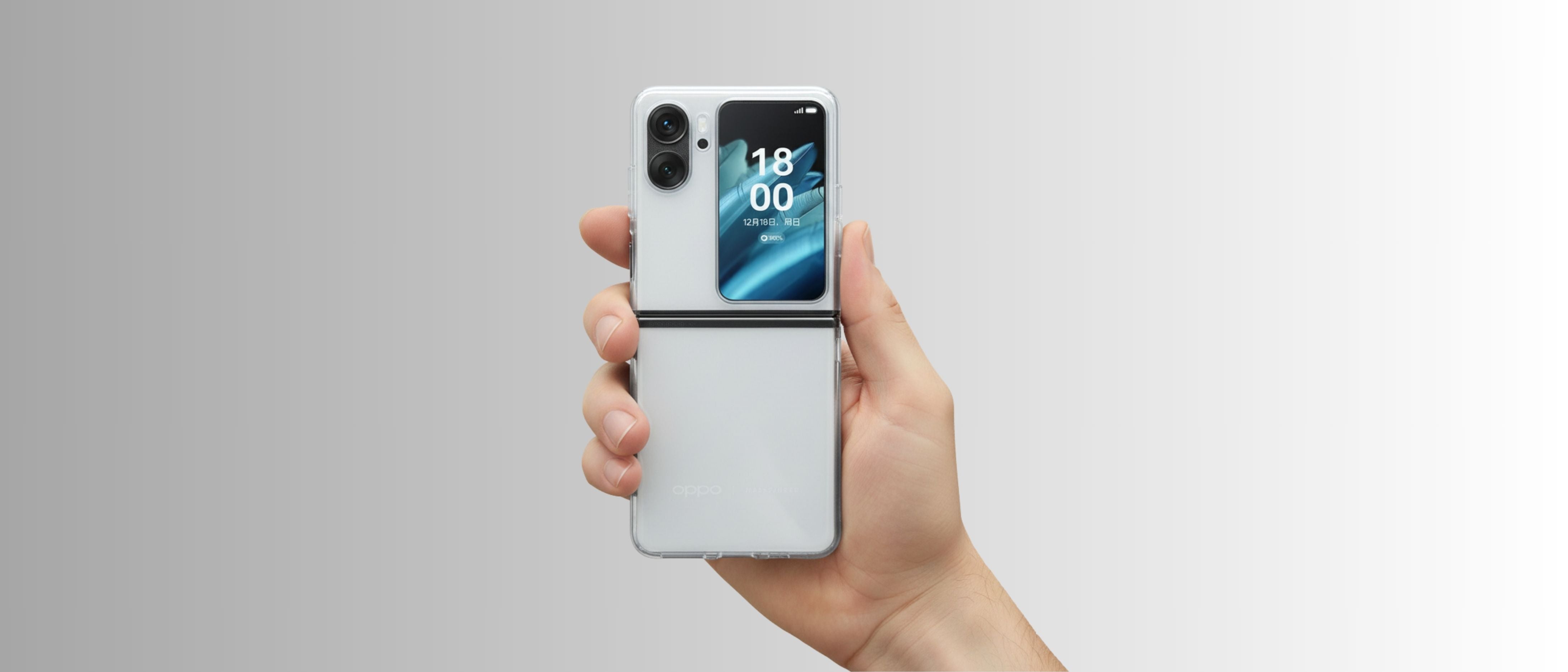 LCDLC>Oppo>Funda Oppo Find N2 Flip