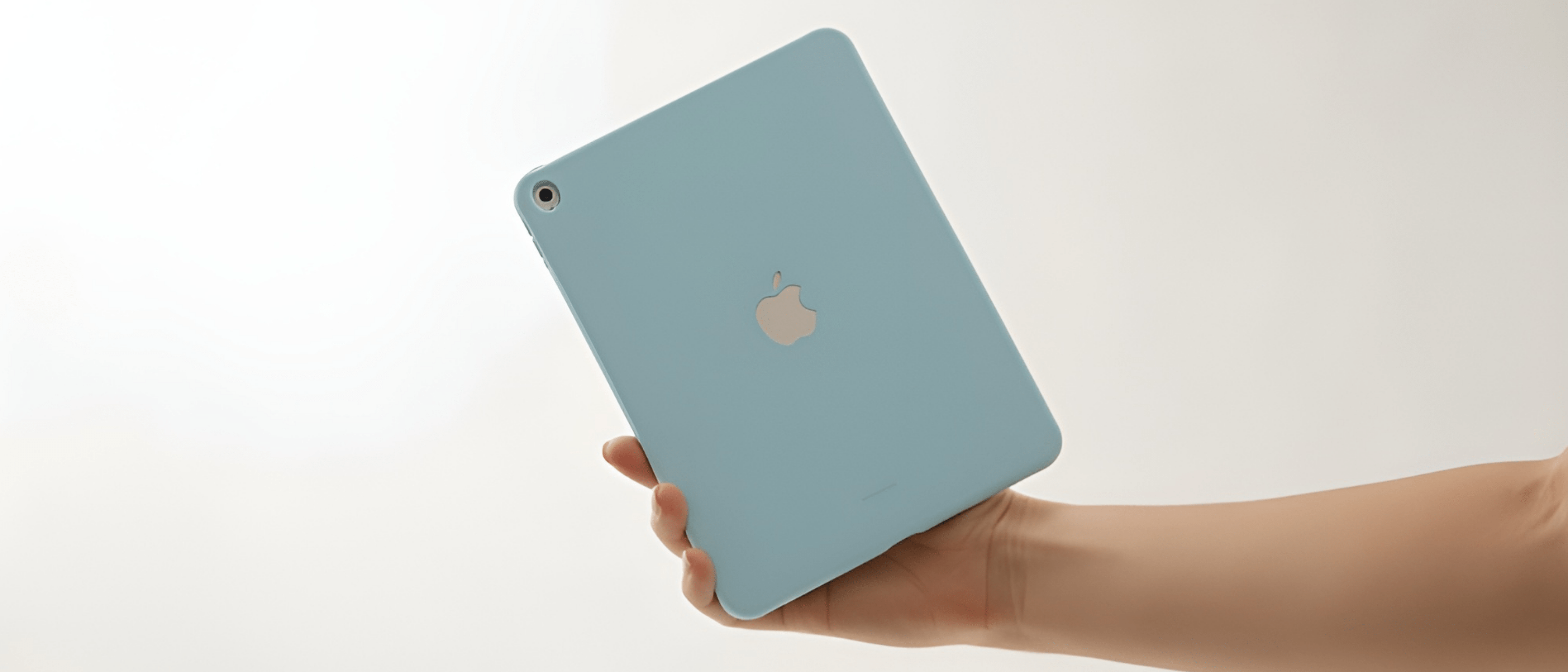 LCDLC>Apple>Funda iPad 5 New