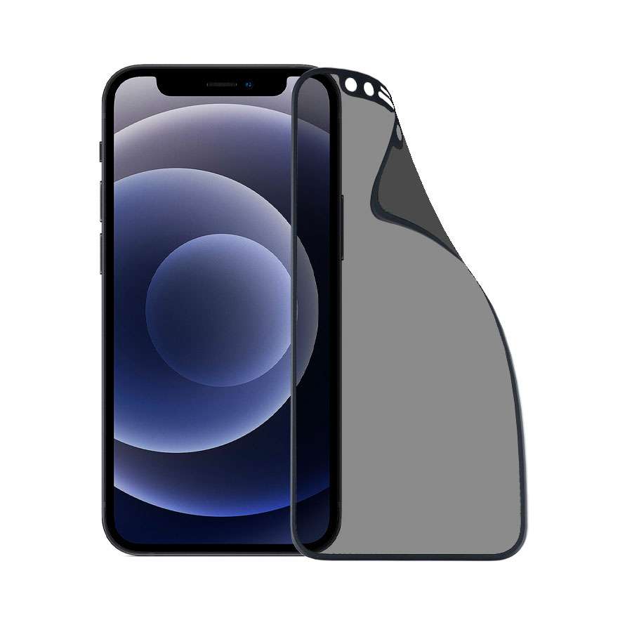 Vetro Temperato Infrangibile Antispia per iPhone 12 Mini