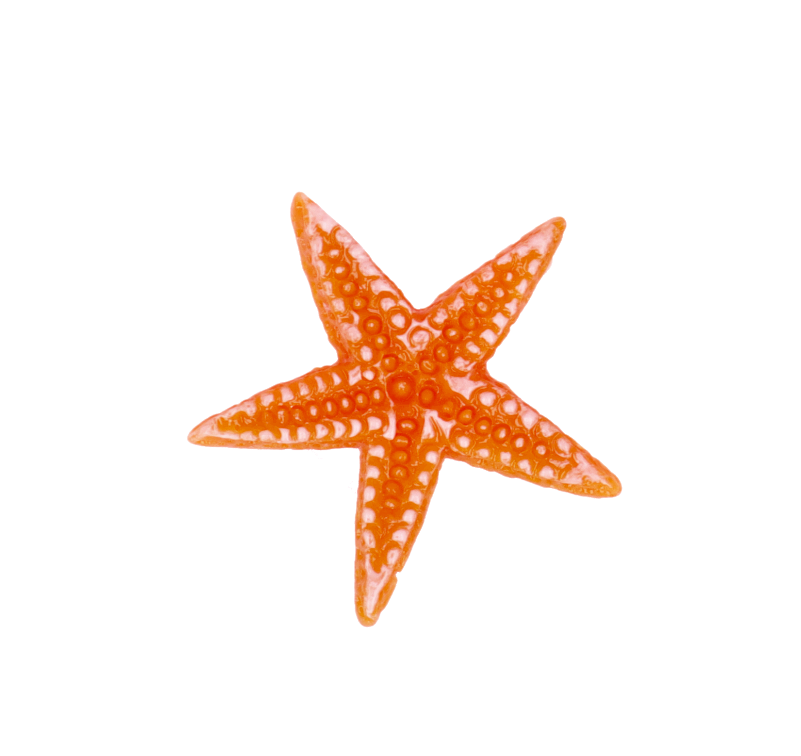 Customize - Sticker Customize Estrella Mar